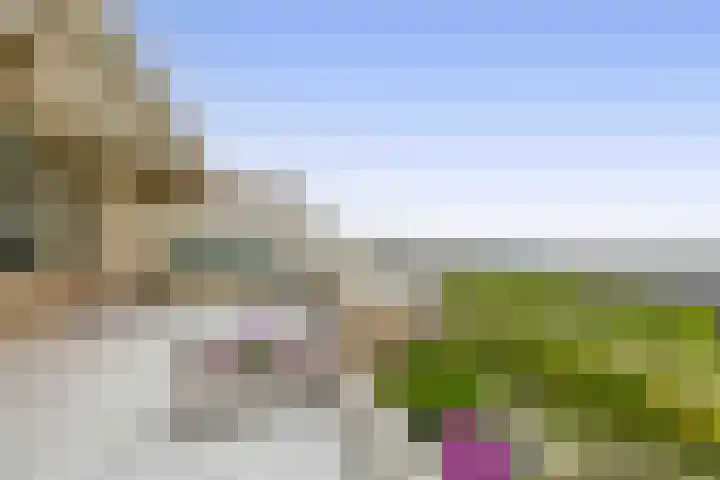 Zeegat 76 Hellevoetsluis thumbnail 41