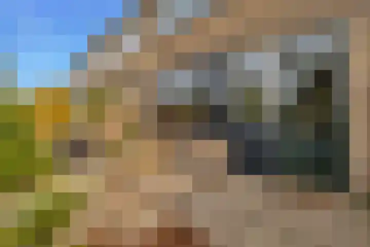 Zeekraal 21 Hellevoetsluis thumbnail 23