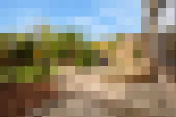 Zeekraal 21 Hellevoetsluis thumbnail 24