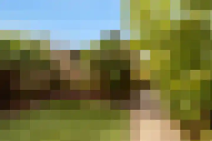 Zeekraal 21 Hellevoetsluis thumbnail 26