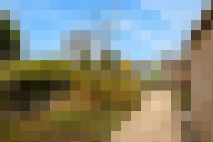 Zeekraal 21 Hellevoetsluis thumbnail 28