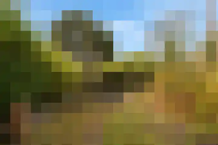 Zeekraal 21 Hellevoetsluis thumbnail 29