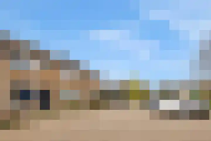 Zeekraal 21 Hellevoetsluis thumbnail 8