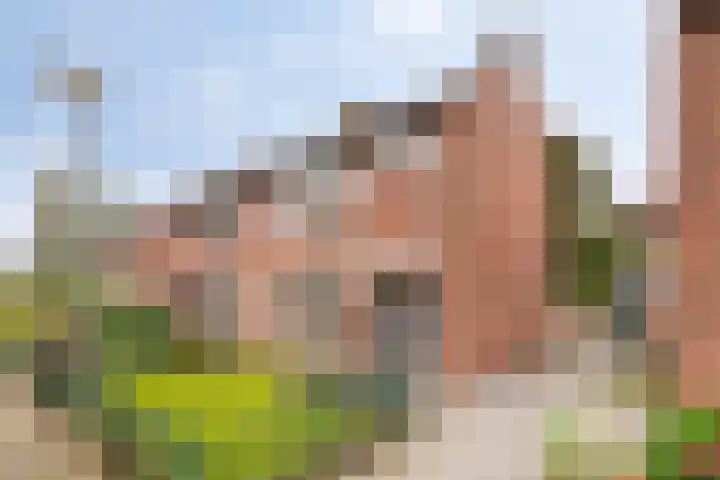 Zeelandsedijk 25 Elsendorp