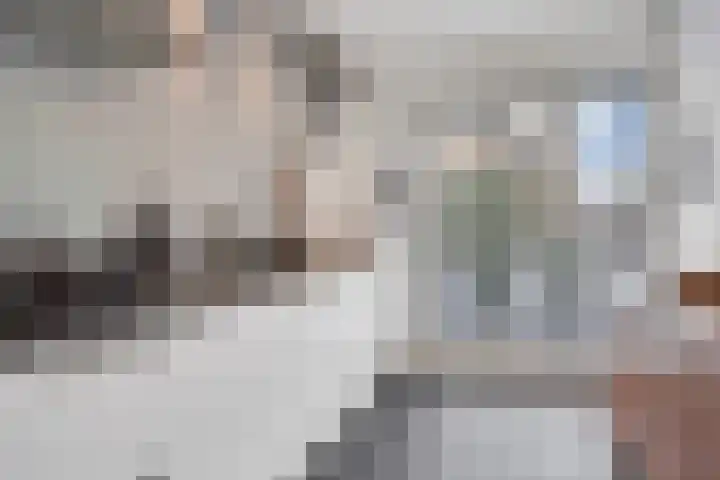 Zeelststraat 8 Tilburg thumbnail 10