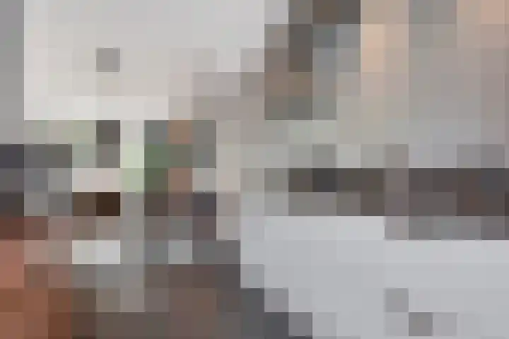Zeelststraat 8 Tilburg thumbnail 12