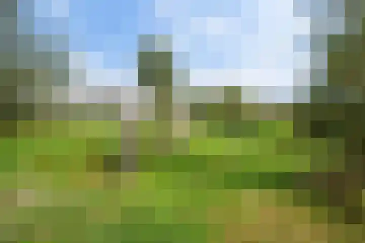 Zeelststraat 8 Tilburg thumbnail 38