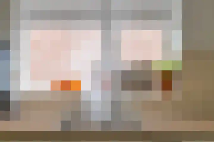 Zeeltborch 7 Rosmalen thumbnail 12
