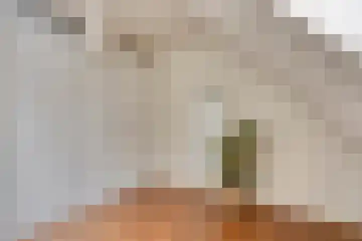 Zeeltborch 7 Rosmalen thumbnail 21