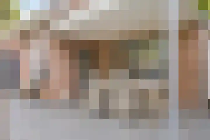 Zeeltborch 7 Rosmalen thumbnail 35