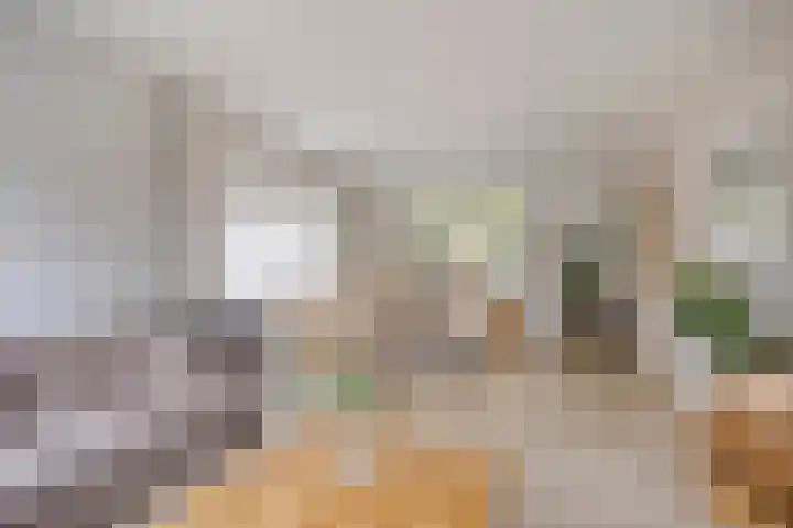 Zeeltborch 7 Rosmalen thumbnail 4