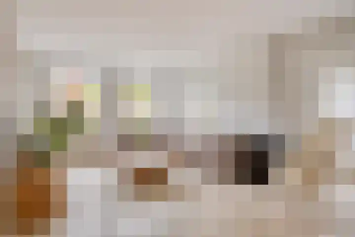 Zeeltborch 7 Rosmalen thumbnail 5