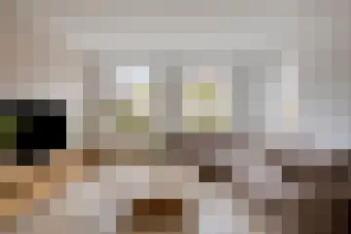 Zeeltborch 7 Rosmalen thumbnail 6