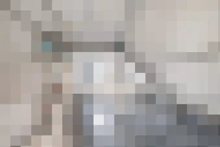 Zeemandreef 3 Maassluis thumbnail 24