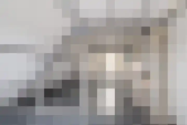Zeemandreef 3 Maassluis thumbnail 26