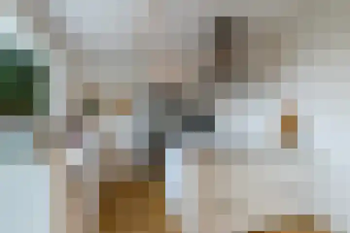 Zeemanlaan 190 Utrecht thumbnail 11