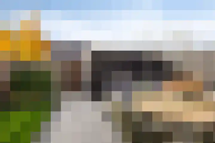 Zeemansrond 22 Abbekerk thumbnail 34