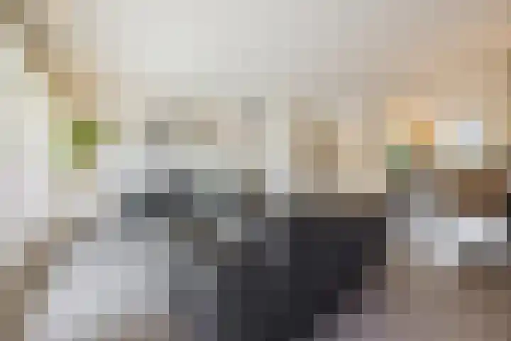 Zeemanstraat 25 Ridderkerk thumbnail 12
