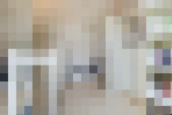 Zeemanstraat 25 Ridderkerk thumbnail 33