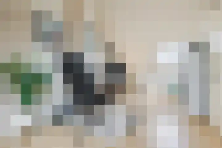 Zeemanstraat 25 Ridderkerk thumbnail 37