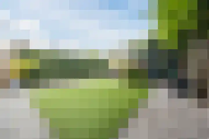 Zeemanstraat 25 Ridderkerk thumbnail 40