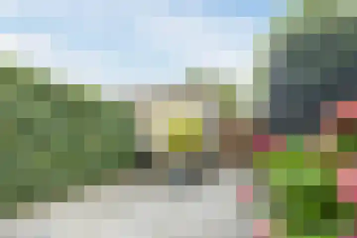 Zeemanstraat 25 Ridderkerk thumbnail 41