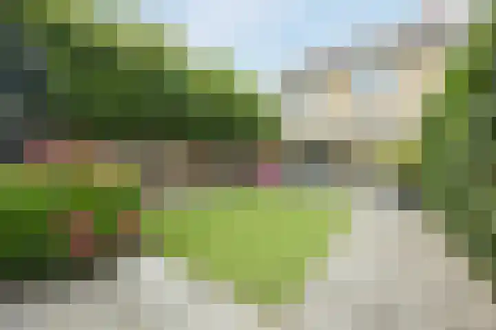 Zeemanstraat 25 Ridderkerk thumbnail 43