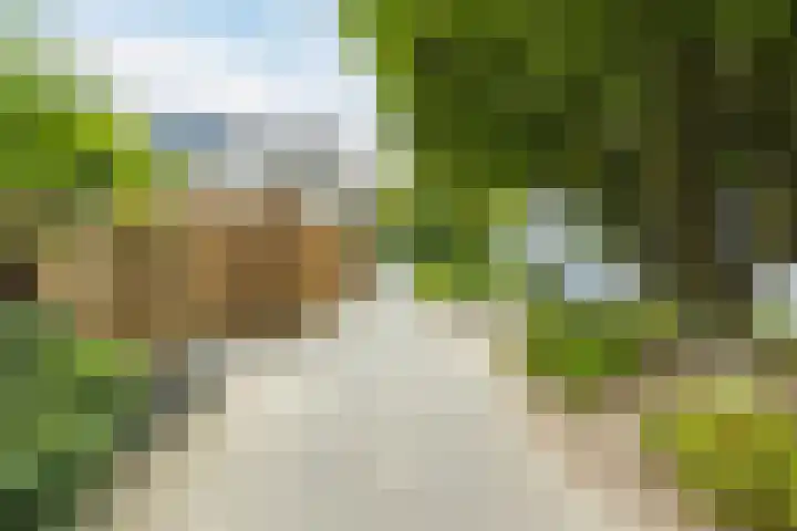 Zeemanstraat 25 Ridderkerk thumbnail 45