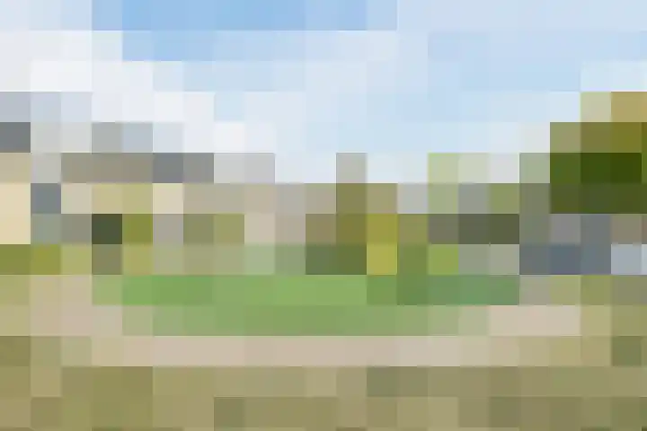 Zeemanstraat 25 Ridderkerk thumbnail 47