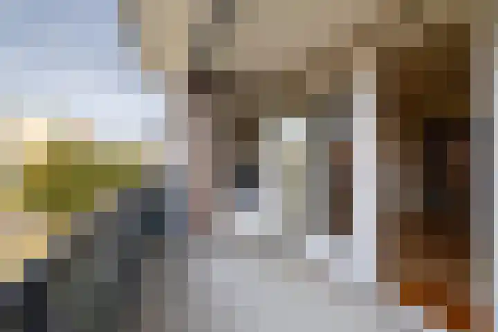 Zeemanstraat 84 Ridderkerk thumbnail 6