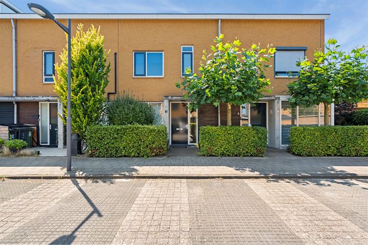 Zeepaddestoel 4 in Naaldwijk foto