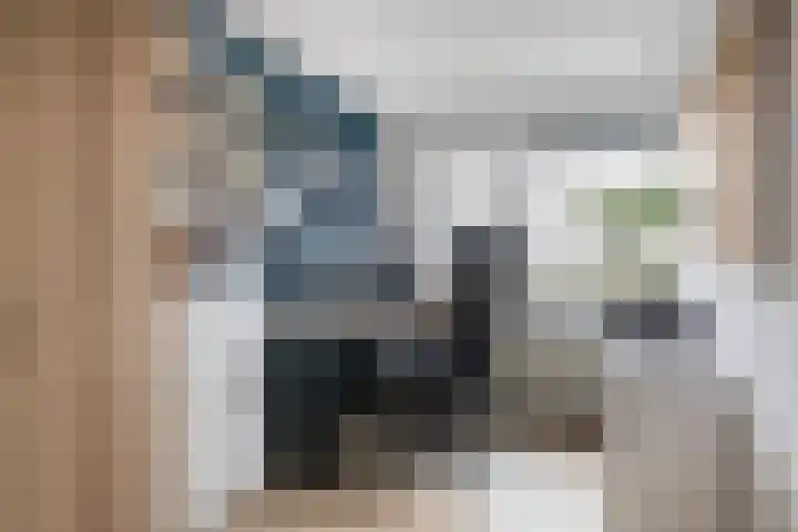 Zeereep 189 Monster thumbnail 23