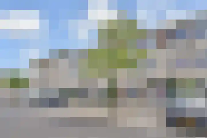 Zeereep 91 in Monster