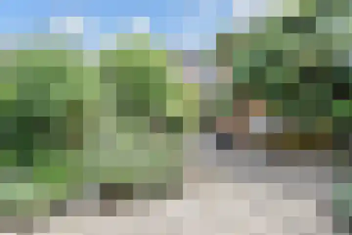 Zeereep 91 Monster thumbnail 38
