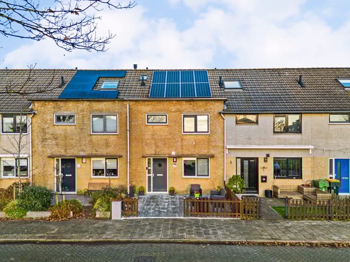 Zeeschildpad 26 in Heerhugowaard