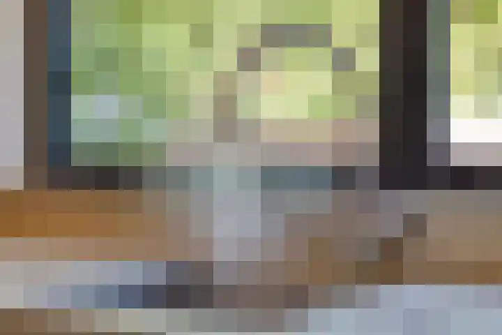 Zeesluis 19 Hulst thumbnail 14