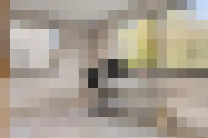 Zeesluis 19 Hulst thumbnail 24