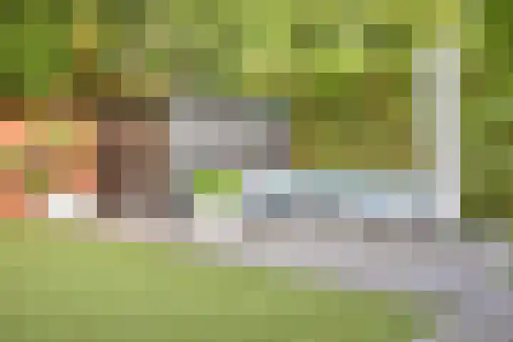Zeesluis 19 Hulst thumbnail 38