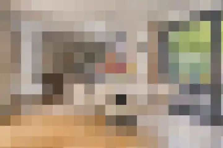 Zeesluis 19 Hulst thumbnail 9