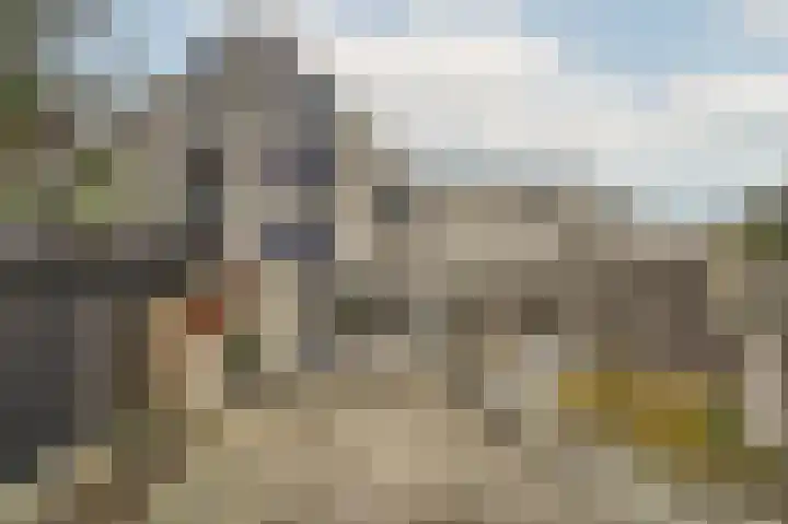 Zeester 57 Katwijk thumbnail 31