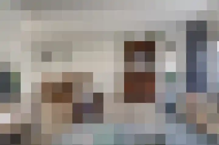 Zeester 70 Katwijk thumbnail 18