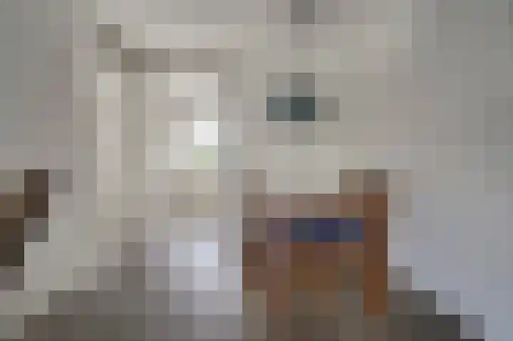 Zeester 70 Katwijk thumbnail 21