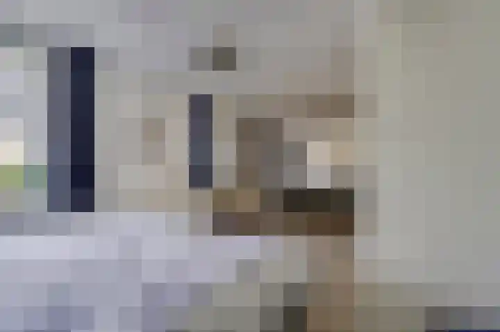 Zeester 70 Katwijk thumbnail 27