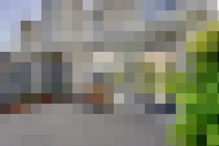 Zeester 70 Katwijk thumbnail 32