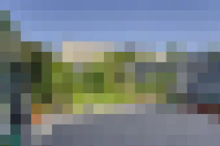 Zeester 70 Katwijk thumbnail 33