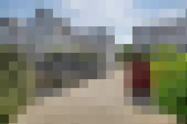 Zeester 70 Katwijk thumbnail 35