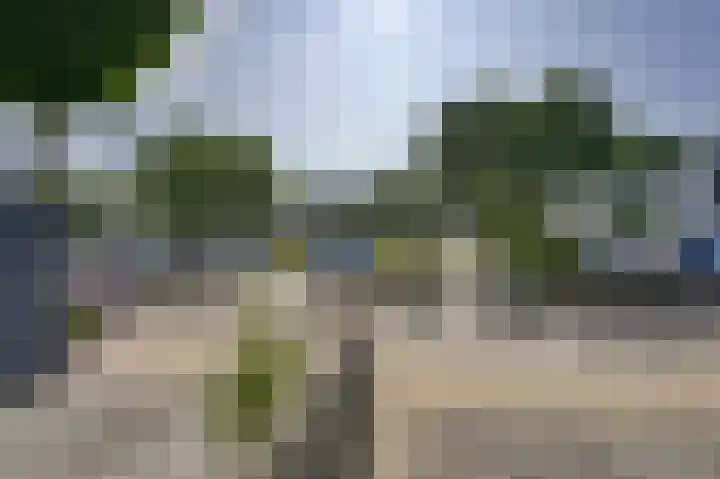 Zeester 70 Katwijk thumbnail 36