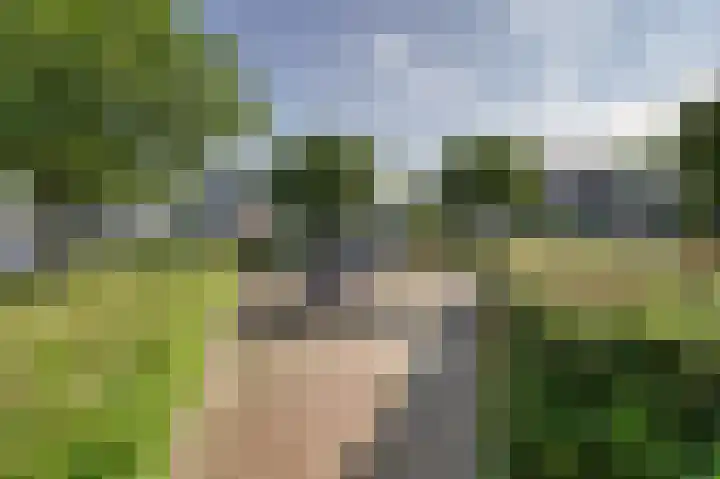 Zeester 70 Katwijk thumbnail 37
