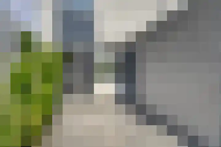 Zeester 70 Katwijk thumbnail 6