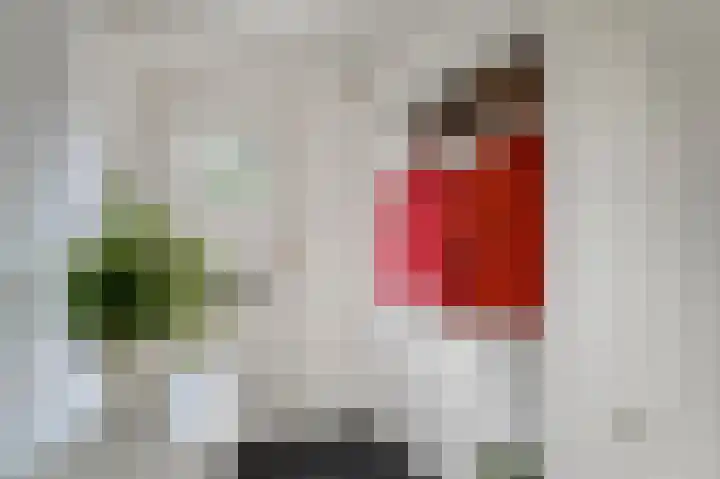 Zeester 70 Katwijk thumbnail 7